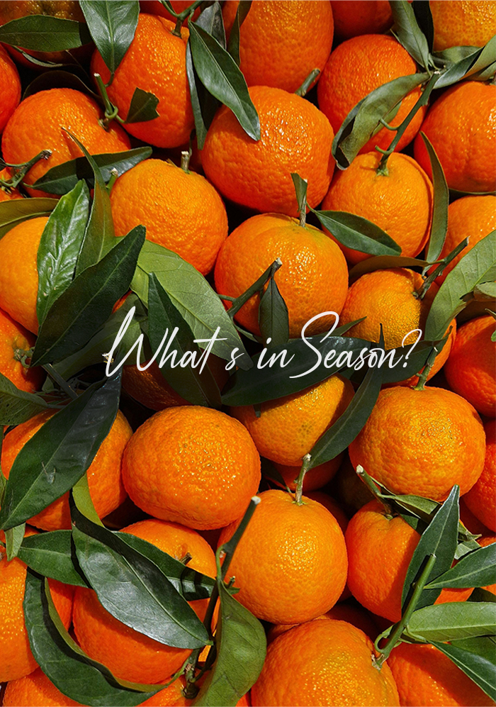 Cltrus in season victoria fruit palace