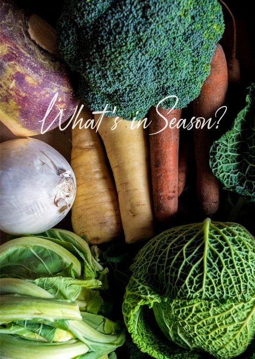 SeasonUpdate Image August
