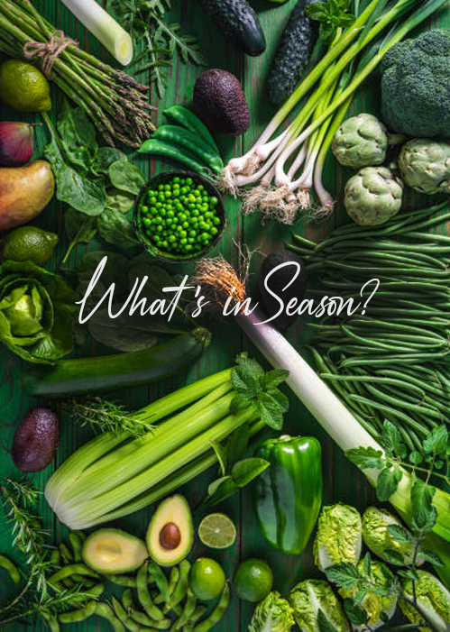 SeasonUpdate-Image-September