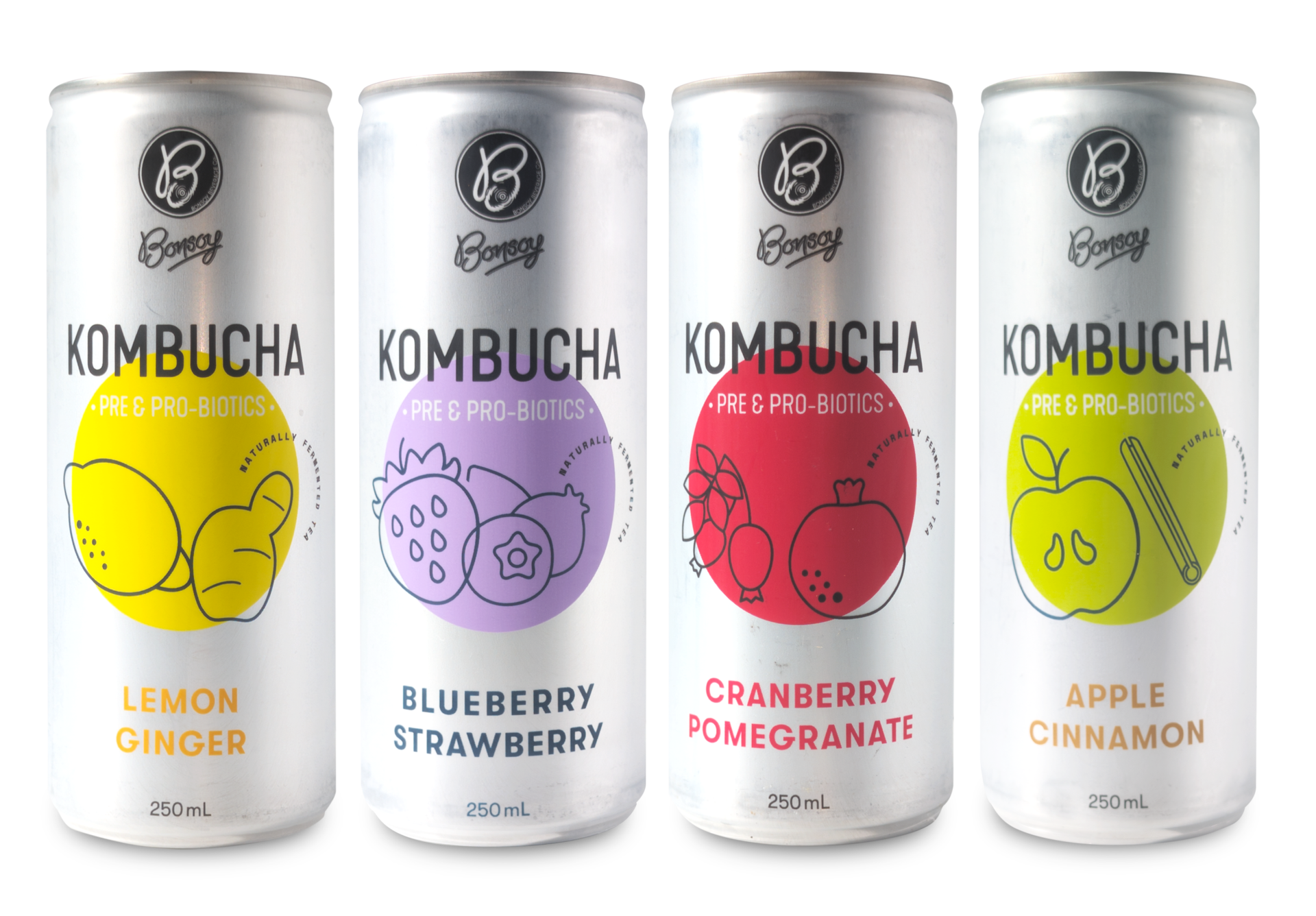 Bonsoy Kombucha 250ml 3000px Shadow