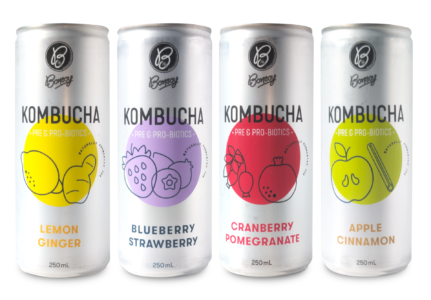 Bonsoy Kombucha 250ml 3000px Shadow